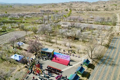 農(nóng)文旅融合發(fā)展 陳戶鎮(zhèn)推動鄉(xiāng)村旅游大提升