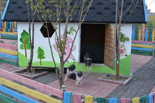 秋日拾趣，鄉野尋蹤 '郊區美如畫'之鄉村采摘觀光季